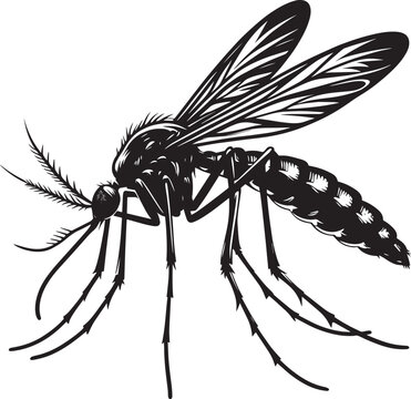 Mosquito Silhouette isolated on white background Minimalist mosquito vector illustration