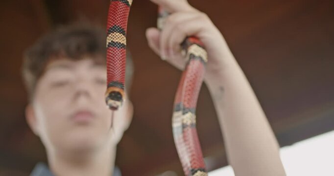Closeup of a girl gently holding her pet milk snake.