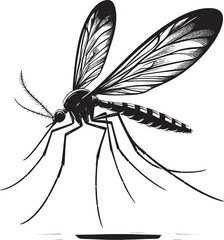 Mosquito Silhouette isolated on white background Minimalist mosquito vector illustration