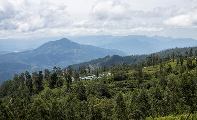 mount hood state, mountain village 