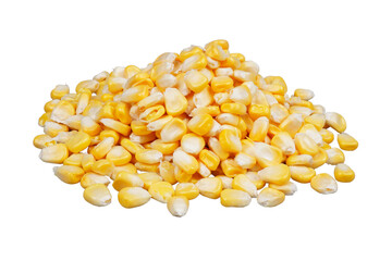 Sweet corn seeds isolated transparent