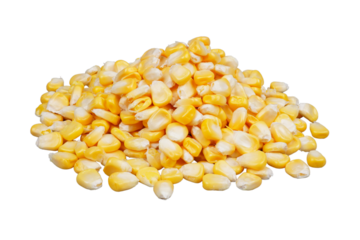 Sweet corn seeds isolated transparent