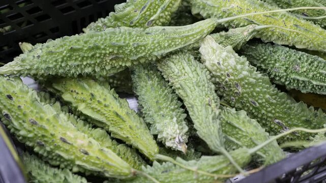 Close-up view of green bitter melons in vegetable box in outdoor grocery market 