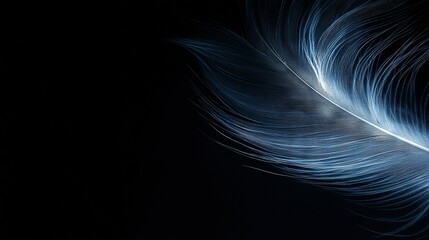   A feather in sharp focus against a dark backdrop with a fuzzy bird's tail visible
