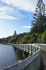 Orakei Basin Walkway Auckland New Zealand