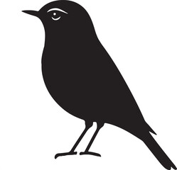 Bird Silhouette Vector Art Work