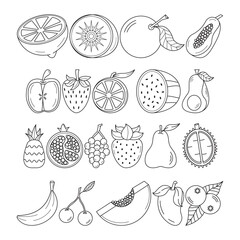 set of fruits outline illustration collection