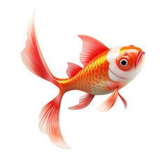 A single, orange and white goldfish with large, flowing fins, isolated on a black background.