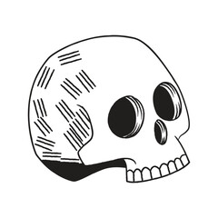 Simple skull illustration for helloween. Isolated skull hand drawn 