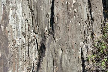 Fototapeta premium Rock texture. Natural background. Natural background.