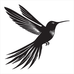 Fototapeta premium Costa's hummingbird silhouette - Hummingbird Bird Clipart - Costa's Hummingbird flying illustration in black and white 