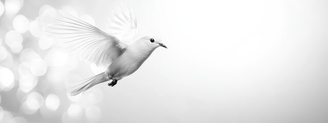 Obraz premium A black-and-white image of a bird flying, wings outstretched