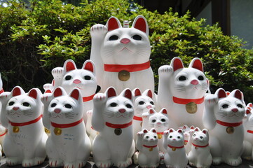 Cat Temple in Japan 