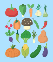 set of flat vegetables illustration collection
