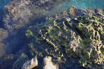 Rock and reef covered with moss and algae washed by foam waves in the sea or ocean with clear water. Drone shooting.