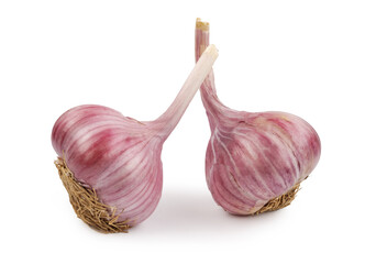 Two garlic bulbs isolated on a white background. Unpeeled garlic bulb .Full clipping path.
