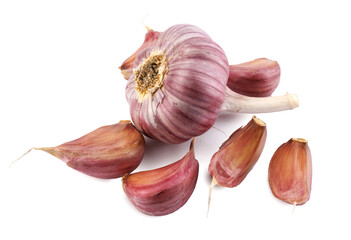 Garlic bulb and garlic cloves isolated on a white background.