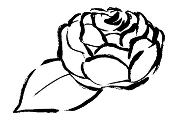 筆タッチの横から見た薔薇1輪と葉のモノクロ線画イラスト