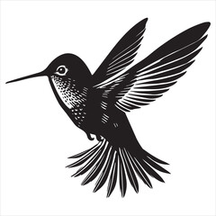 Fototapeta premium Rufous hummingbird silhouette - Hummingbird Bird Clipart - Rufous Hummingbird flying backward illustration in black and white