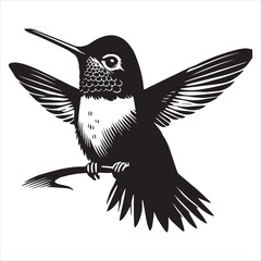 Obraz premium Rufous hummingbird silhouette - Hummingbird Bird Clipart - Rufous Hummingbird perched looking upward illustration in black and white
