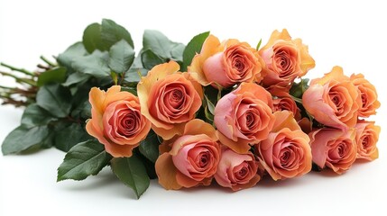 Obraz premium Peach Roses Bouquet Isolated on White Background