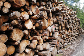 Close up stack of dry Pine tree log and wood plank