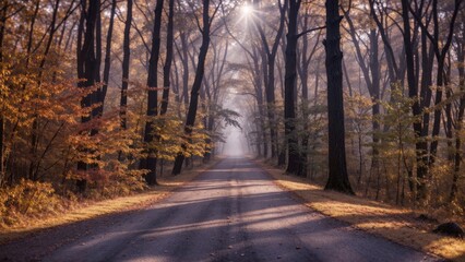 Naklejka premium Golden-lit mist-draped route winds through an autumn woodland