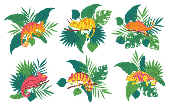 Cute small striped colorful chameleon on branch with tropical leaves cartoon vector set, exotic predator lizard animal