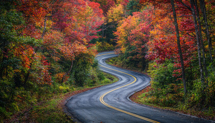 Naklejka premium A winding road through vibrant autumn foliage, showcasing the beauty of seasonal change in nature.