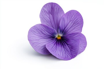 Obraz premium Close-up of a single purple pansy flower, perfect for edible decoration, vibrant and detailed, isolated on white background, selective focus, copy space