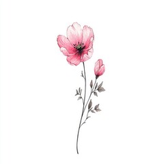 Obraz premium Watercolor Pink Flower with Stem and Leaves on White Background