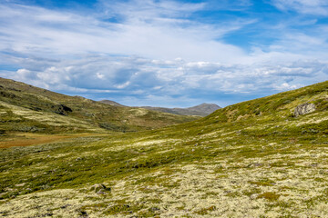 Late summer landscape in the Dovrefjell region, Norway