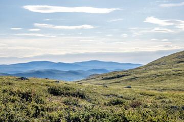 Late summer landscape in the Dovrefjell region, Norway