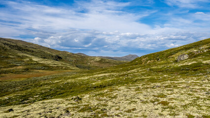 Late summer landscape in the Dovrefjell region, Norway