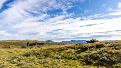 Obraz premium Norwegian landscape with traditional old houses, Dovrefjell area