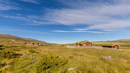 Old traditional wooden houses with green roofs, Dovrefjell, Norway 
