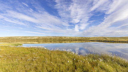 Late summer landscape in the Dovrefjell region, Norway