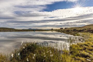 Late summer landscape in the Dovrefjell region, Norway