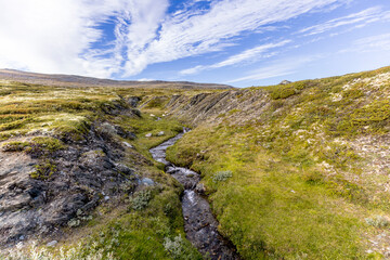 Wild river in Dovrefjell, Norway