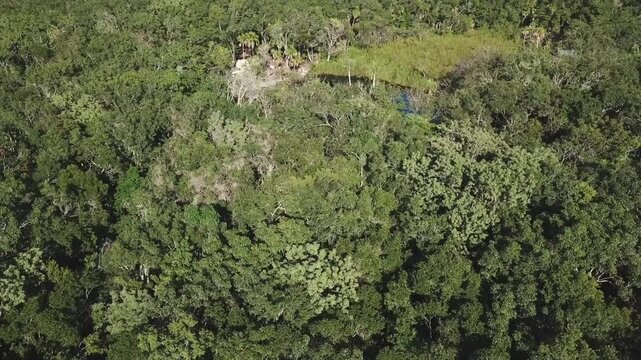 Aerial view of cenote Corazon, Tulum, Riviera Maya, Mexico