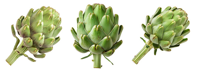 Isolated fresh artichoke on isolated transparent background