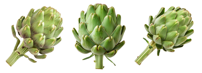 Isolated fresh artichoke on isolated transparent background