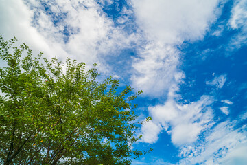 雲間に見る青空