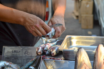 Fishing Village Market Fish Cleaning and Sales in Action