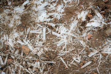 ice on the mud background