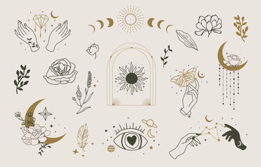 Boho Mystic style line icon withBoho Mystic style line icon with flower,rose,magnolia,sun,moon flower,rose,lily,sun,moon