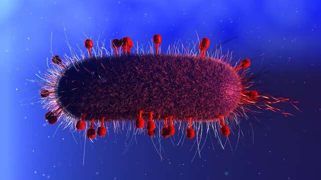 Many Bacteriophages Or Phages Surrounding And Infecting Single Bacterium Bacteriophages T4 Infecting Baterium Many Red Phages Sitting On Surface Of E Coli Injecting Rna
