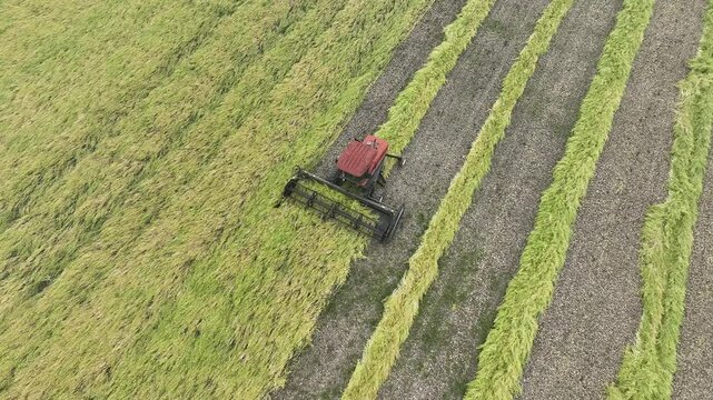 Overhead view of a windrower coming towards the camera