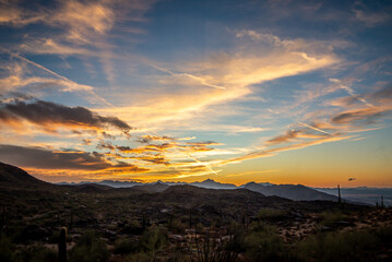 Cacti stand in silhouette against a colorful sky in Saguaro National Park, Arizona.