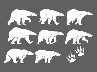 polar bear vector